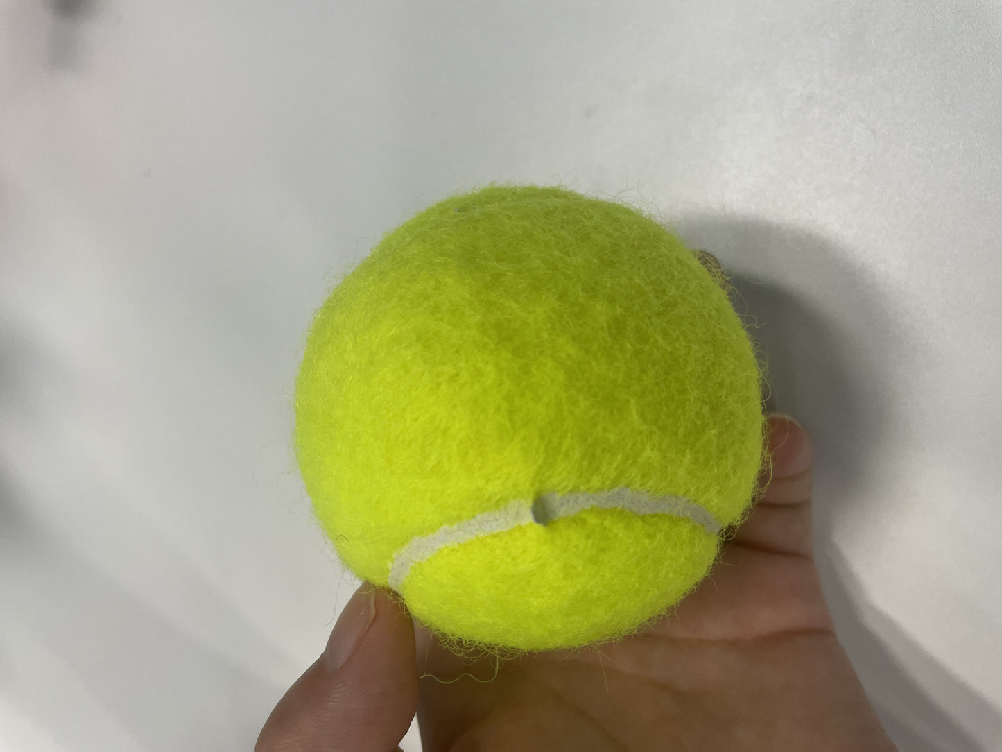 HEAD 4Pcs/ Tennis Balls High Rebound